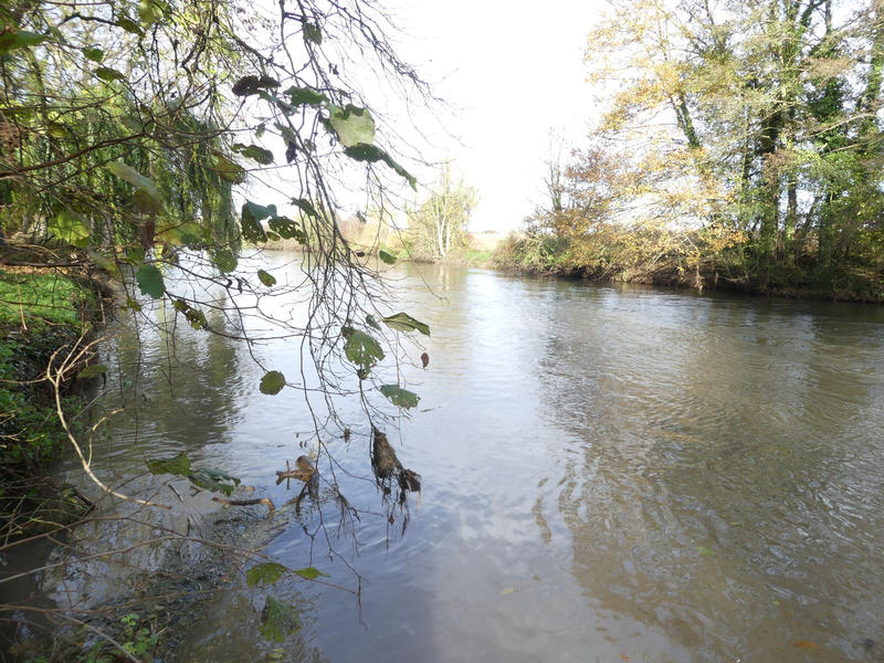 Maison - 80 m² - 3 pièces