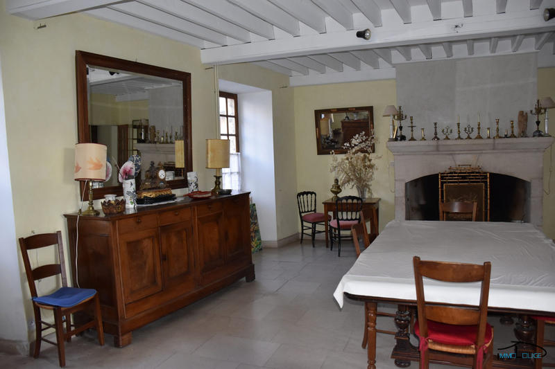 Maison ancienne - 456 m² - 9 pièces