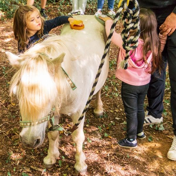 Eté actif - balade à poney