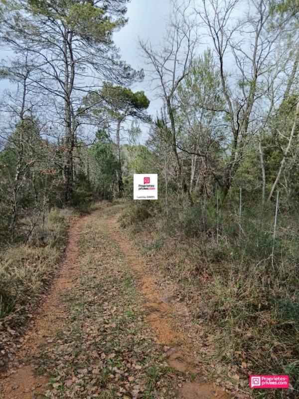 Forêt - 5 514 m²