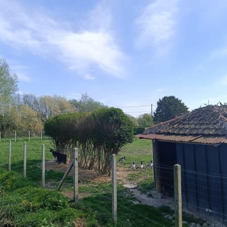 Maison - 76 m² - 4 pièces