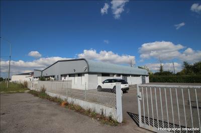 Local d'activités - 1 000 m²