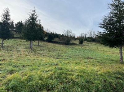 Terrain - 7 661 m²