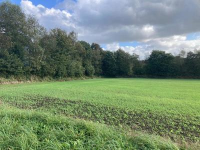 Terrain constructible - 2 183 m²