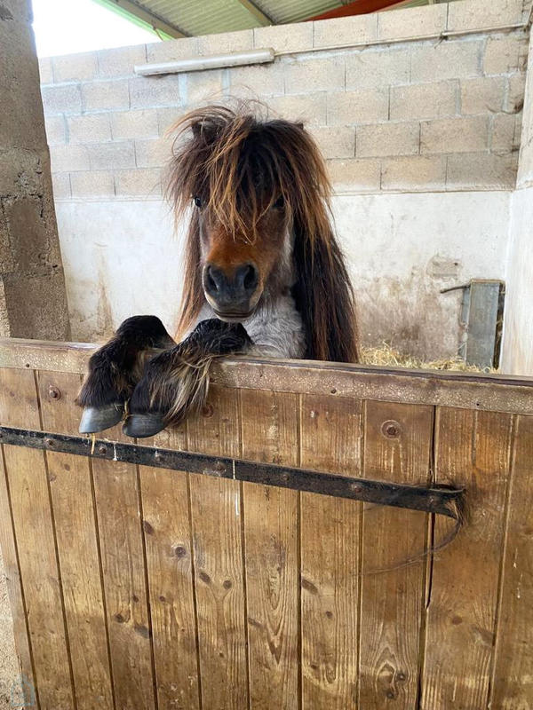 Maison - 267 m² - 8 pièces