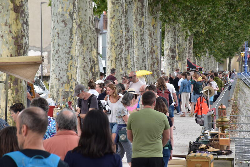 Puces montluconnaises