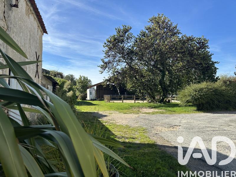 Maison - 133 m² - 5 pièces