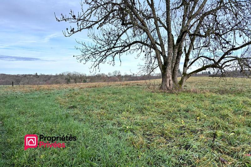 Terrain constructible - 1 828 m²