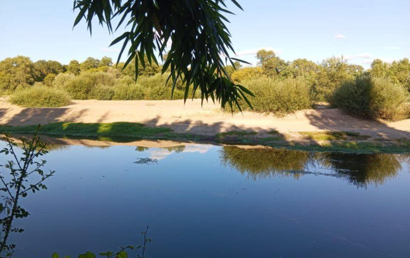 Terrain - 11 581 m²