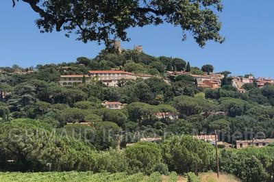 Hôtel particulier - 275 m²