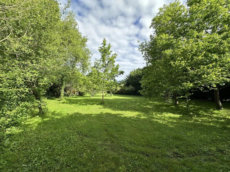 Terrain agricole - 1 300 m²