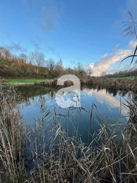 Terrain de loisirs - 4 249 m²