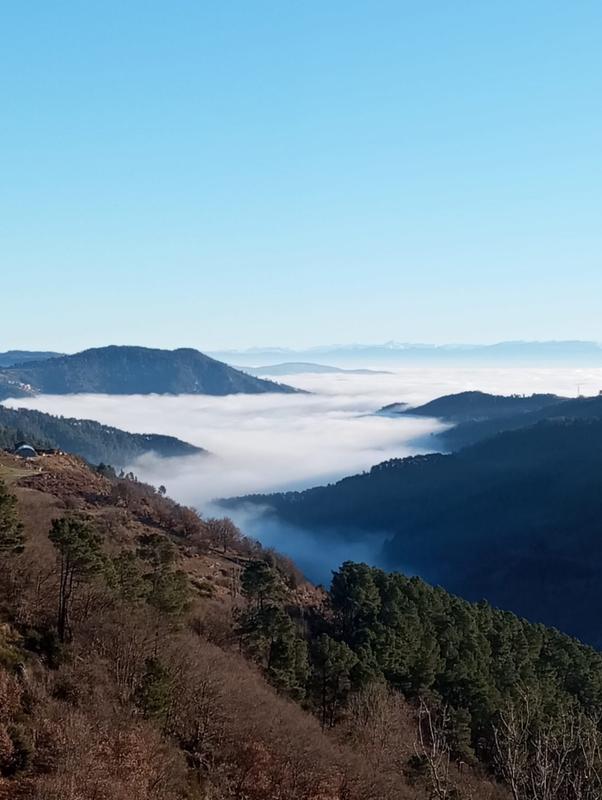 Maison ancienne - 85 m² - 6 pièces