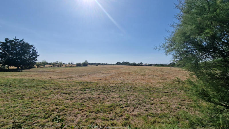 Maison - 245 m² - 8 pièces