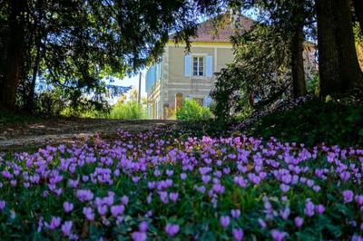 Maison de maîtres - 293 m² - 9 pièces