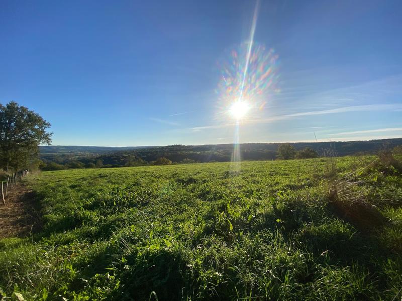 Maison - 115 m² - 4 pièces