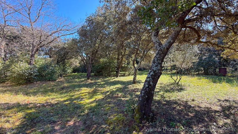 Maison - 285 m² - 8 pièces