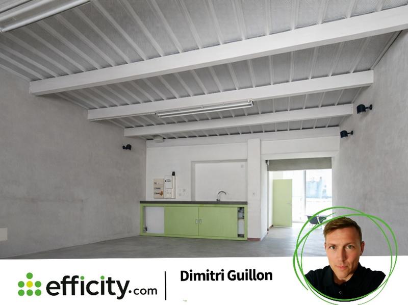 Loft - 55 m² - 2 pièces