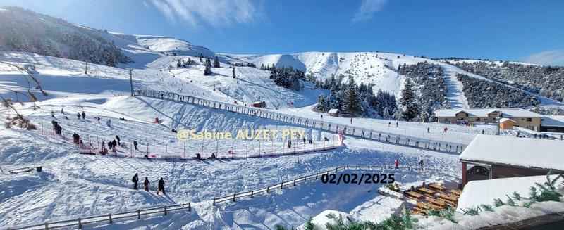 Appartement - 31 m² - 2 pièces