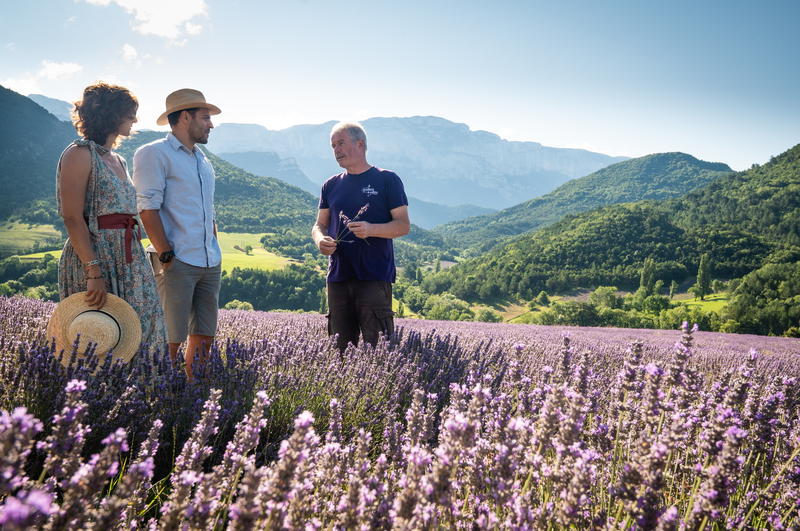 Randonnée familiale dans les champs de lavande du Vercors