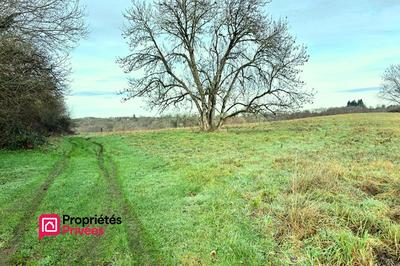 Terrain constructible - 1 828 m²