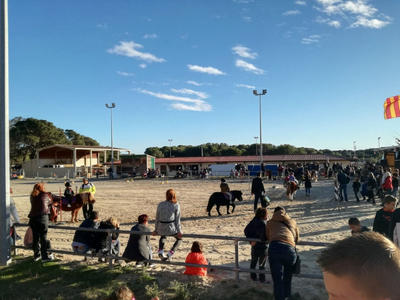 Journée pastorale des Bergers