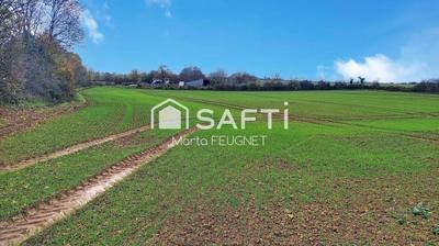 Terrain - 12 700 m²