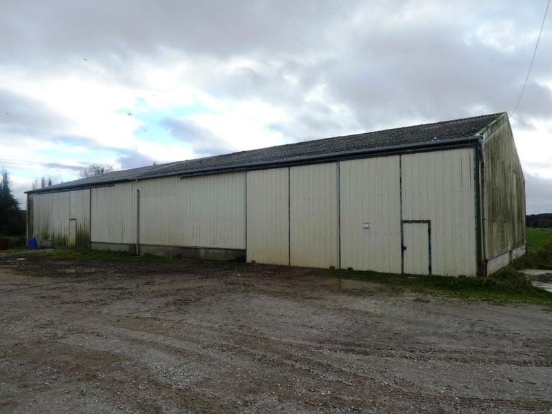 Local d'activité / Entrepôt - 900 m²