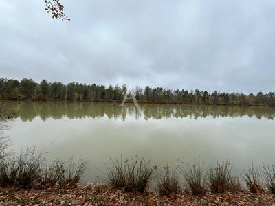 Terrain - 243 800 m²