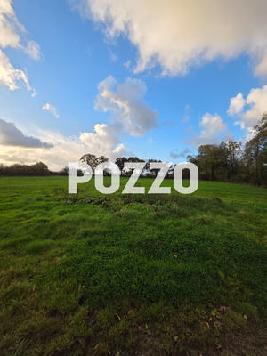 Terrain - 96 249 m²