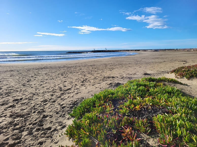 Appartement - 37 m² - 3 pièces