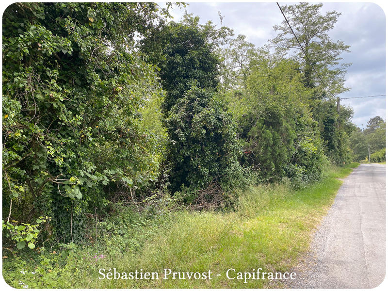 Terrain constructible - 2 600 m²