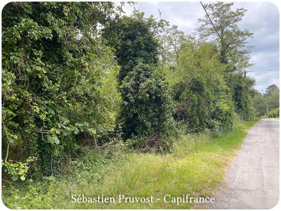 Terrain constructible - 2 600 m²