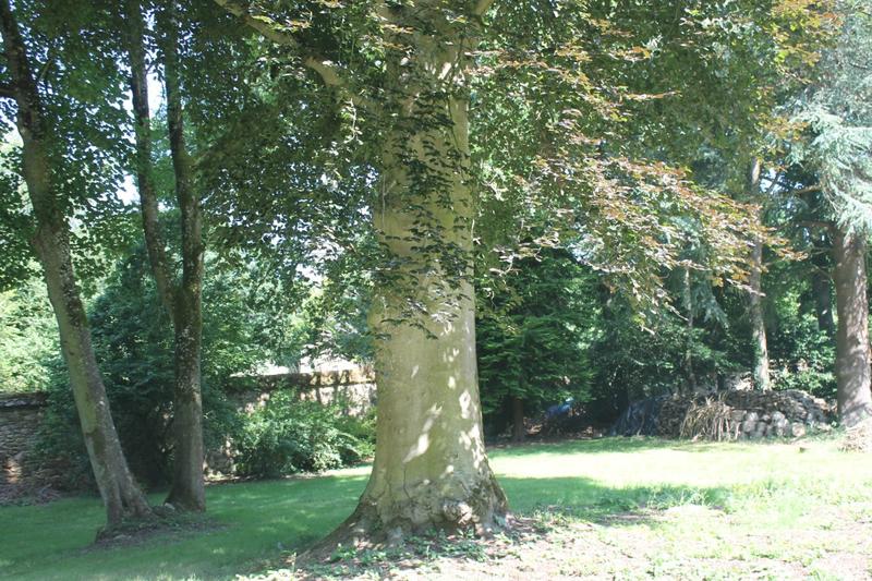 Château - 693 m² - 26 pièces