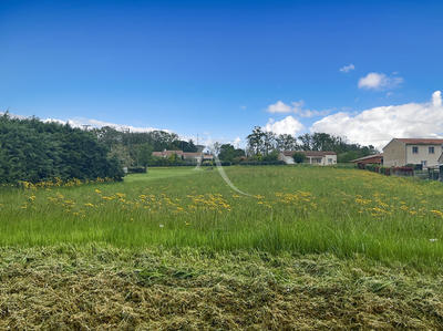 Terrain - 3 550 m²