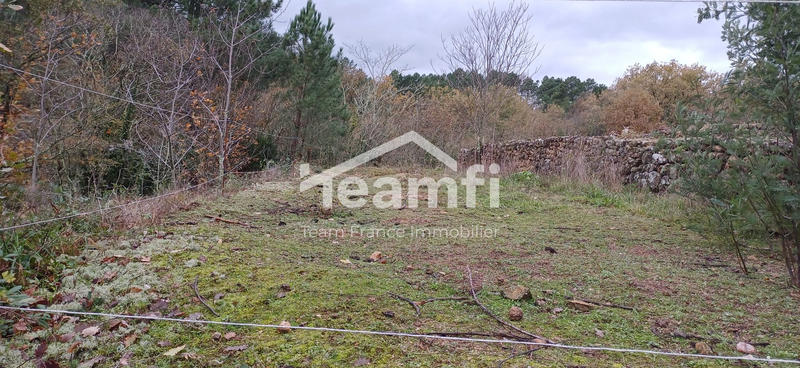 Terrain agricole - 14 279 m²