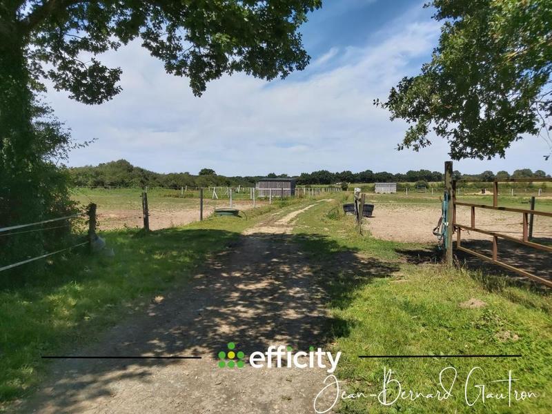 Maison de domaine équestre - 90 m² - 4 pièces