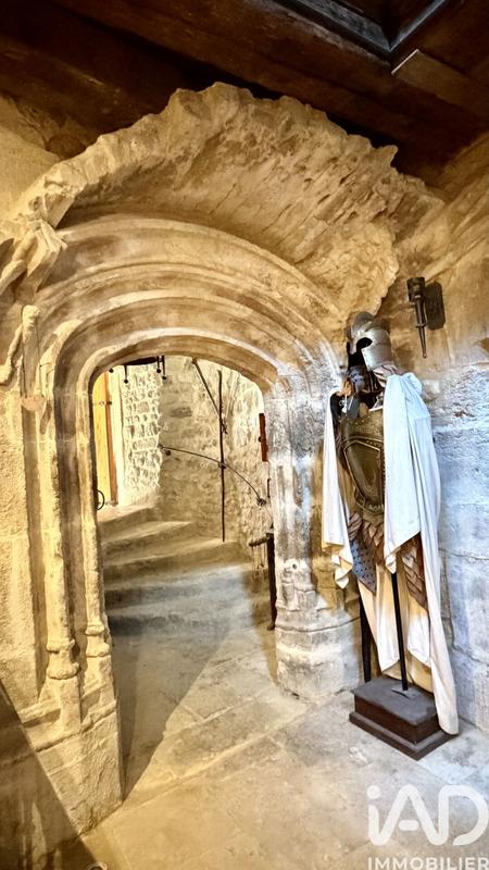 Château - 394 m² - 10 pièces