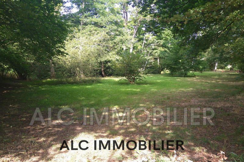 Terrain de loisirs - 1 555 m²