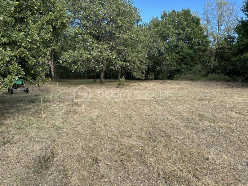 Terrain - 850 m²
