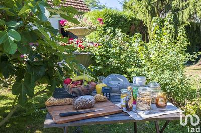 Local commercial - 288 m²