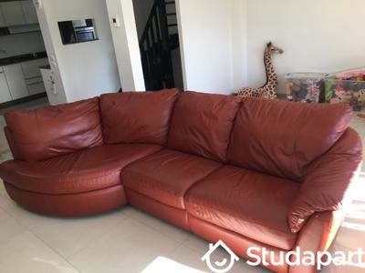 Chambre - 20 m² - 1 pièce