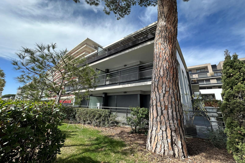 Appartement - 30 m² - 1 pièce