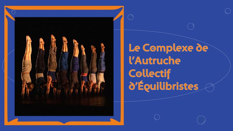 Le complexe de l'autruche - Collectif d'équilibristes