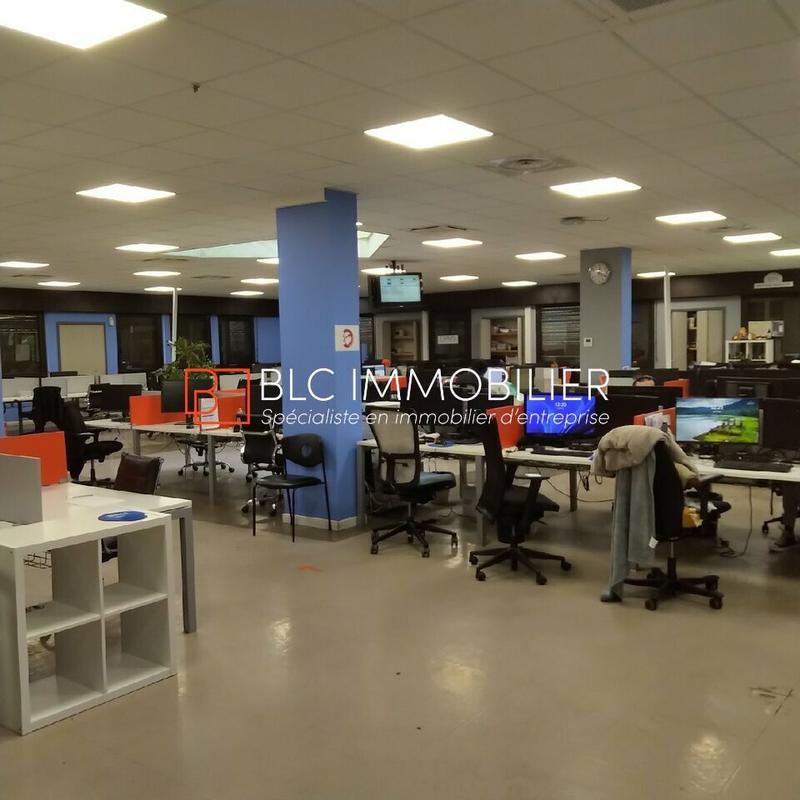 Bureau - 995 m²
