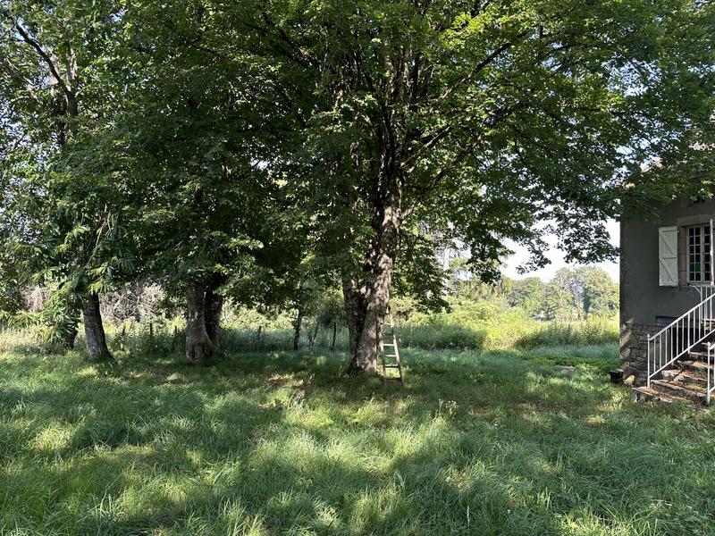 Maison ancienne - 73 m² - 3 pièces