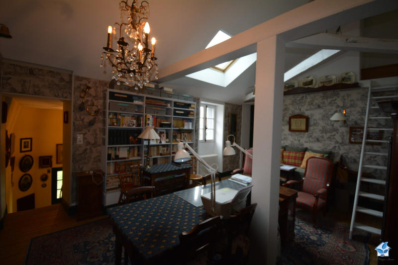 Viager - Maison - 381 m² - 11 pièces