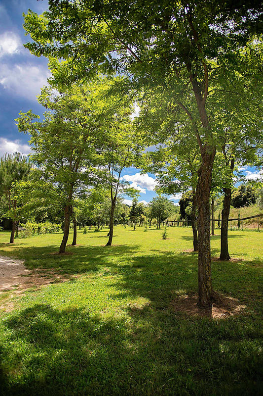 Mas - 668 m² - 27 pièces