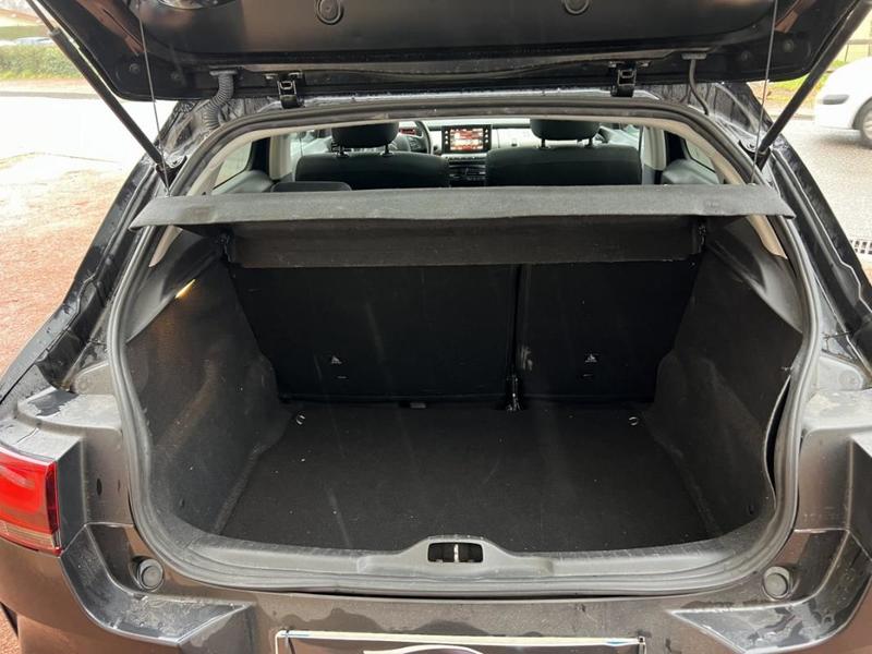 Citroën C4 Cactus PureTech 110 s&amp;S Bvm Shine