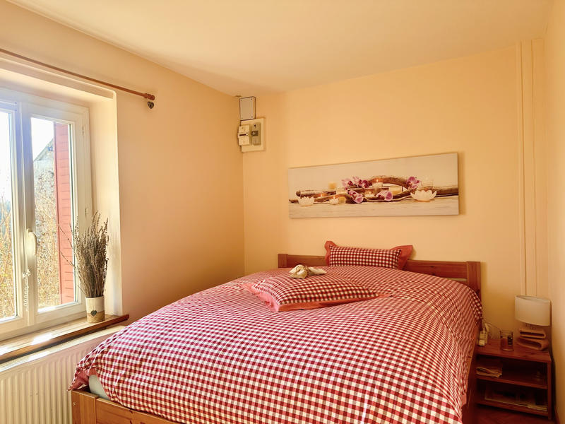 Propriété - 600 m² - 10 pièces